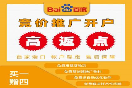 某某SEM团队成功提升网站流量与转化率的实战经验